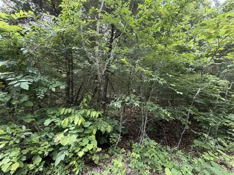 001 Clark Ln, Horseshoe Bend, AR 72512