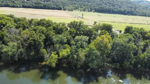 2 3 Jellon, Mountain View, AR 72560 photo 5
