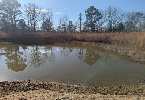 413 Mcelroy Rd, Fox, AR 72051 photo 9