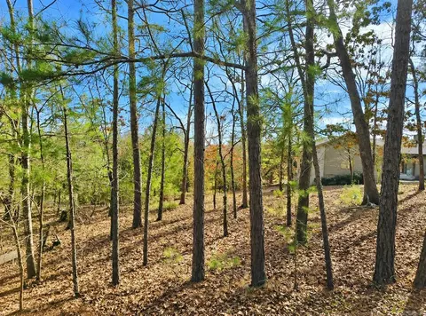 46 Jubileo Way, Hot Springs Village, AR 71909