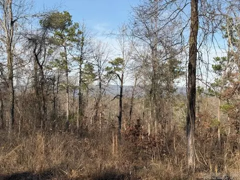 0 Silex Rd, Dover, AR 73837 photo 15