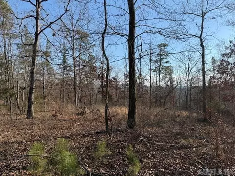 0 Silex Rd, Dover, AR 73837 photo 13