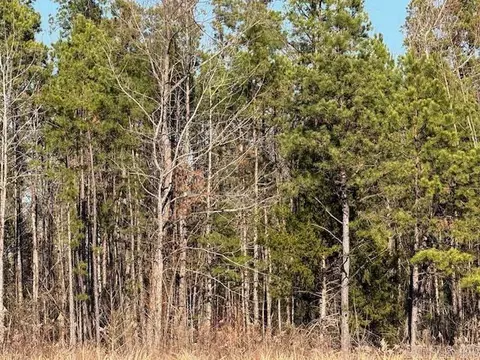 0 Silex Rd, Dover, AR 73837 photo 10