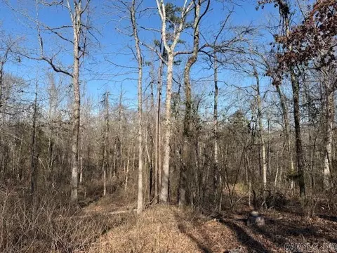 0 Silex Rd, Dover, AR 73837 photo 11