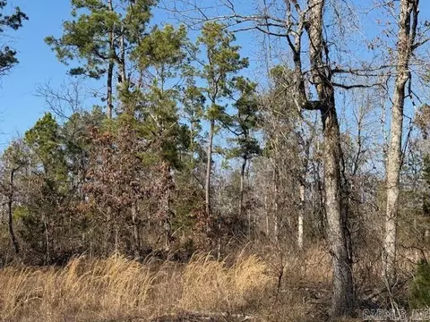 0 Silex Rd, Dover, AR 73837 photo 14