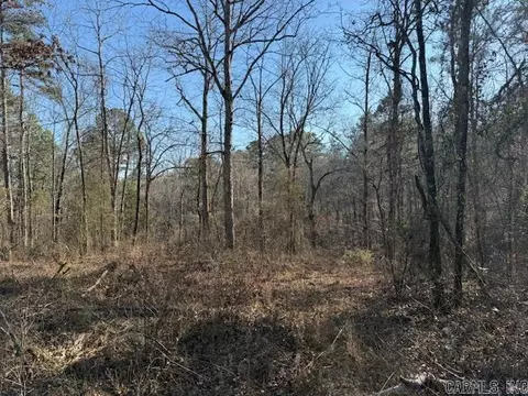 0 Silex Rd, Dover, AR 73837 photo 8