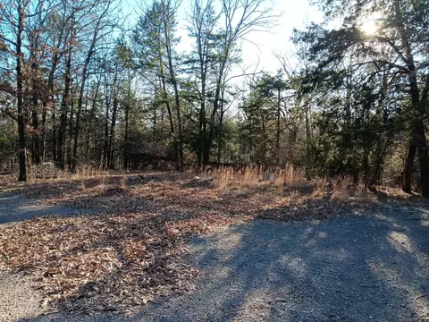 483 Lee Mountain Rd, Dover, AR 72837 photo 24