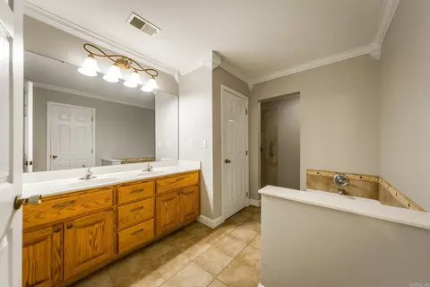 Bath - 100 Traway Ln, Edgemont, AR 72044 photo 1 of 5