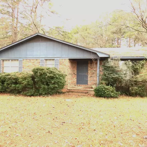Exterior - 100 Sadler Dr, Rison, AR 71665 photo 3 of 6