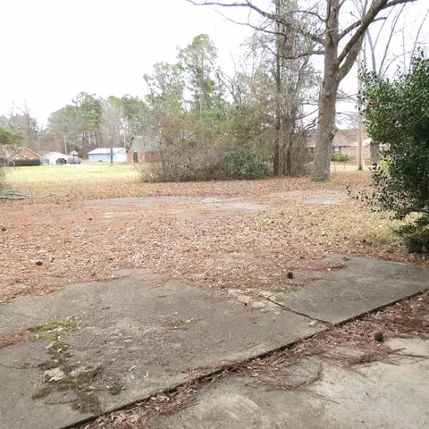 Exterior - 100 Sadler Dr, Rison, AR 71665 photo 6 of 6