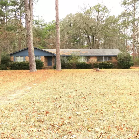 Exterior - 100 Sadler Dr, Rison, AR 71665 photo 1 of 6
