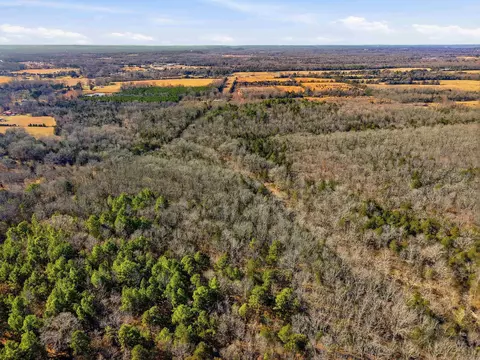 00 Manning Rd, Mount Vernon, AR 72111 photo 11