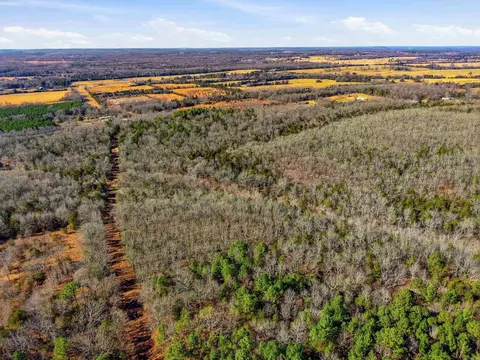 00 Manning Rd, Mount Vernon, AR 72111 photo 10