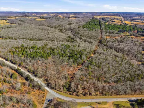 00 Manning Rd, Mount Vernon, AR 72111 photo 6