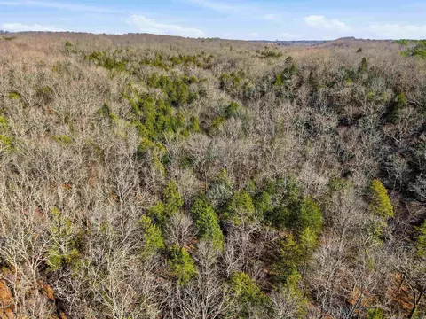 00 Manning Rd, Mount Vernon, AR 72111 photo 15