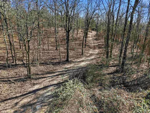 00 Manning Rd, Mount Vernon, AR 72111 photo 3