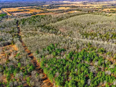 00 Manning Rd, Mount Vernon, AR 72111 photo 9