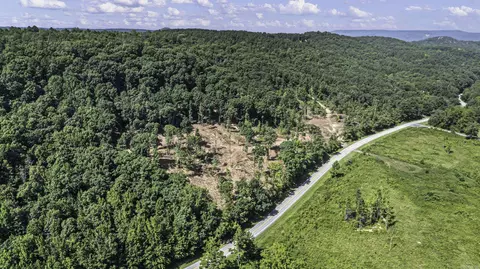 34 Acres Off Sr 164 W, Dover, AR 72837 photo 2