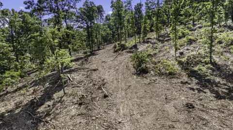 34 Acres Off Sr 164 W, Dover, AR 72837 photo 5