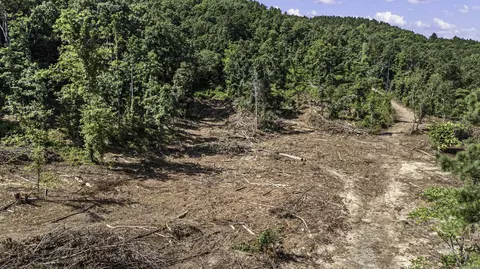 34 Acres Off Sr 164 W, Dover, AR 72837 photo 4