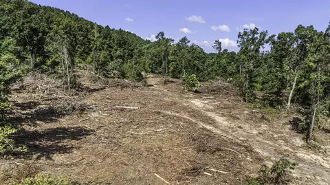 34 Acres Off Sr 164 W, Dover, AR 72837 photo 6