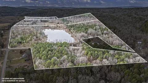 40 Acres Off Booger Hollow Rd, Dover, AR 72837