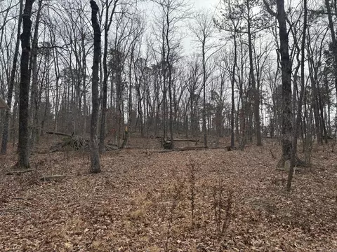 000 Edge Rd, Clinton, AR 72031 photo 11