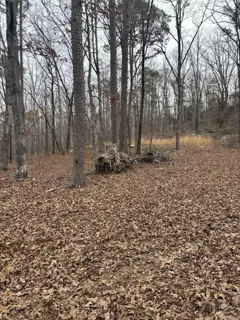 000 Edge Rd, Clinton, AR 72031 photo 6