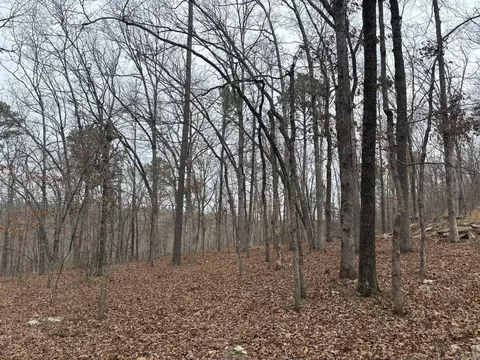 000 Edge Rd, Clinton, AR 72031 photo 9