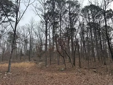 000 Edge Rd, Clinton, AR 72031 photo 8