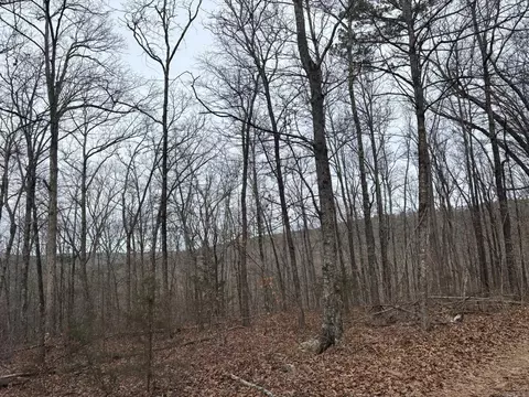 000 Edge Rd, Clinton, AR 72031 photo 5
