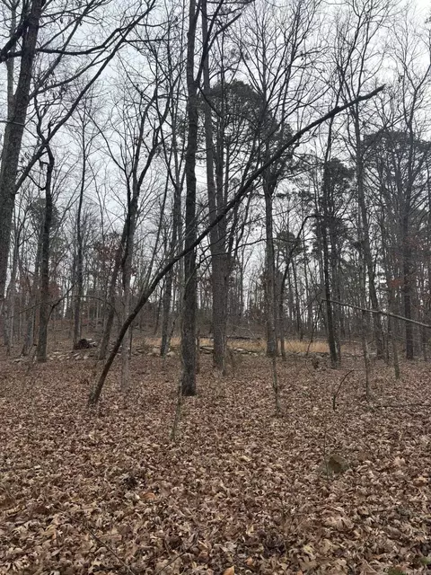 000 Edge Rd, Clinton, AR 72031 photo 4