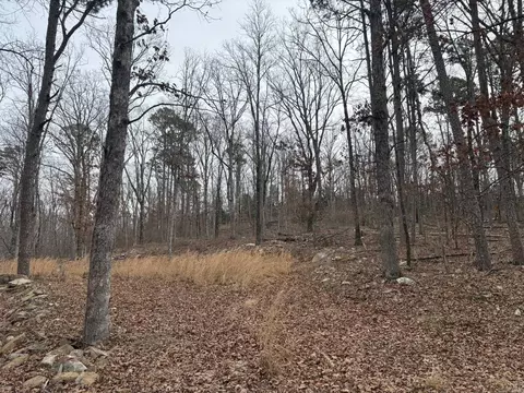 000 Edge Rd, Clinton, AR 72031 photo 10