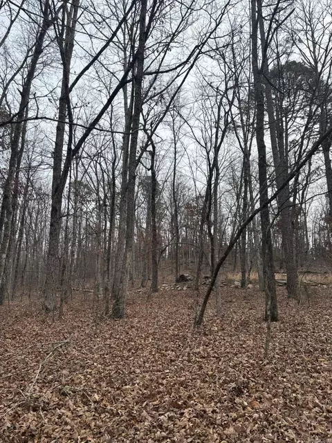 000 Edge Rd, Clinton, AR 72031 photo 3