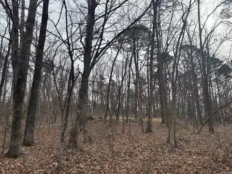 000 Edge Rd, Clinton, AR 72031 photo 2