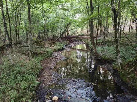 10601 9 Hwy, Benton, AR 72019 photo 4
