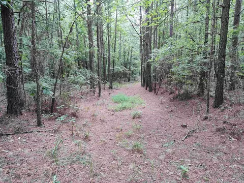 10601 9 Hwy, Benton, AR 72019 photo 34