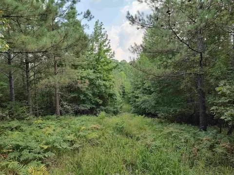 10601 9 Hwy, Benton, AR 72019 photo 46