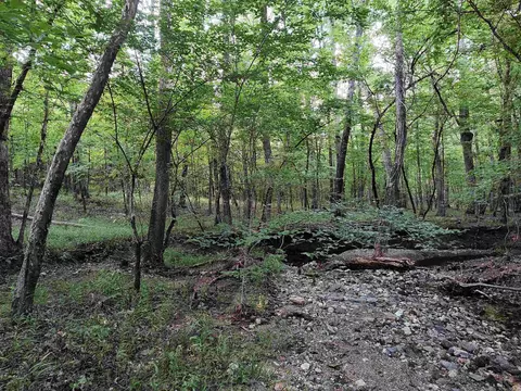 10601 9 Hwy, Benton, AR 72019 photo 11