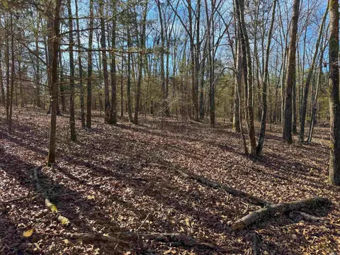 170 Enders Rd, Quitman, AR 72131 photo 16