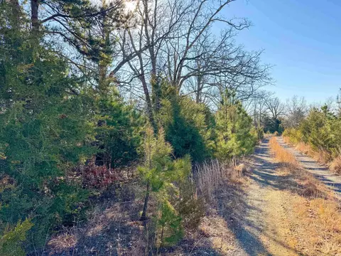 370 Guy Ln, Quitman, AR 72131 photo 10