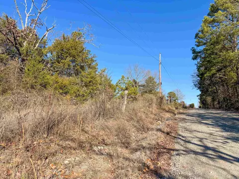 370 Guy Ln, Quitman, AR 72131 photo 7