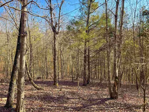 370 Guy Ln, Quitman, AR 72131 photo 2