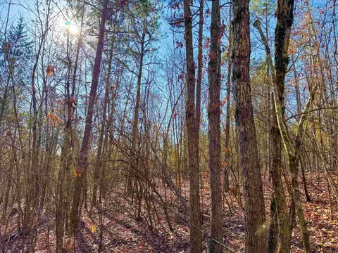 370 Guy Ln, Quitman, AR 72131 photo 17
