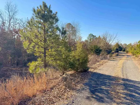 370 Guy Ln, Quitman, AR 72131 photo 8