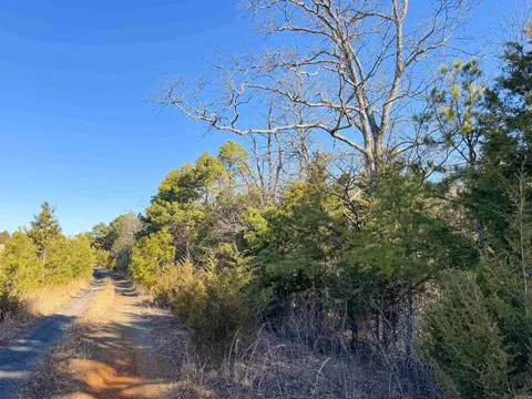 370 Guy Ln, Quitman, AR 72131 photo 9
