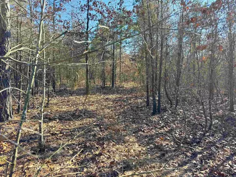 102 Guy Ln, Quitman, AR 72131 photo 11