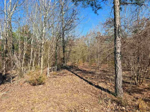 102 Guy Ln, Quitman, AR 72131 photo 3
