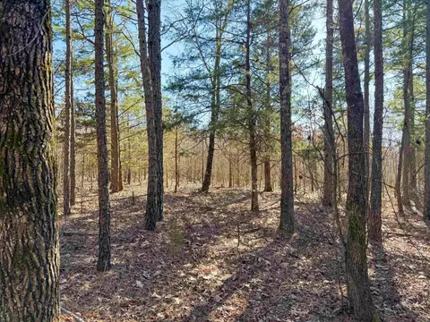 102 Guy Ln, Quitman, AR 72131