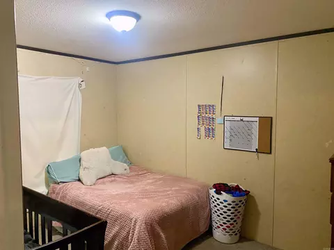 Bedroom - 9 Olivia Ln, Conway, AR 72032 photo 2 of 4